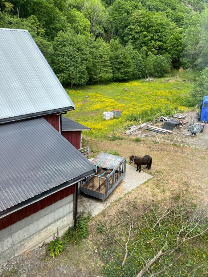 Bjorkely Gard Apartamento Rasvag Exterior foto